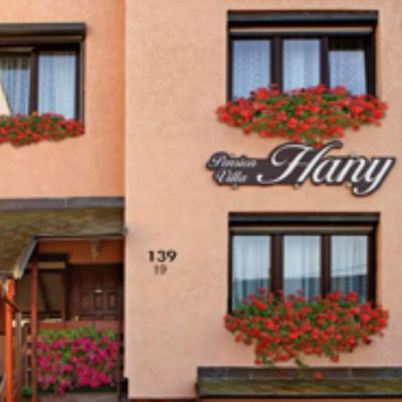 Pension Villa Hany Mariánské Lázně Eksteriør billede