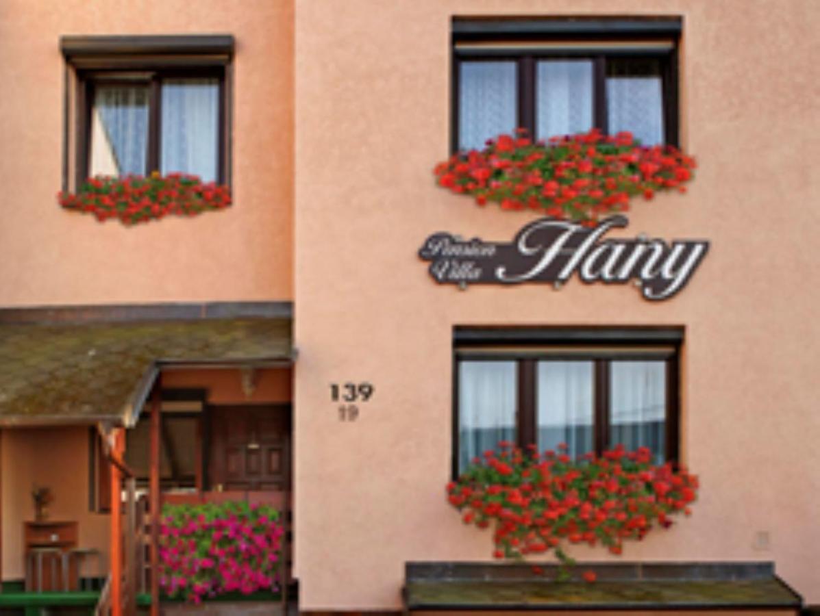 Pension Villa Hany Mariánské Lázně Eksteriør billede