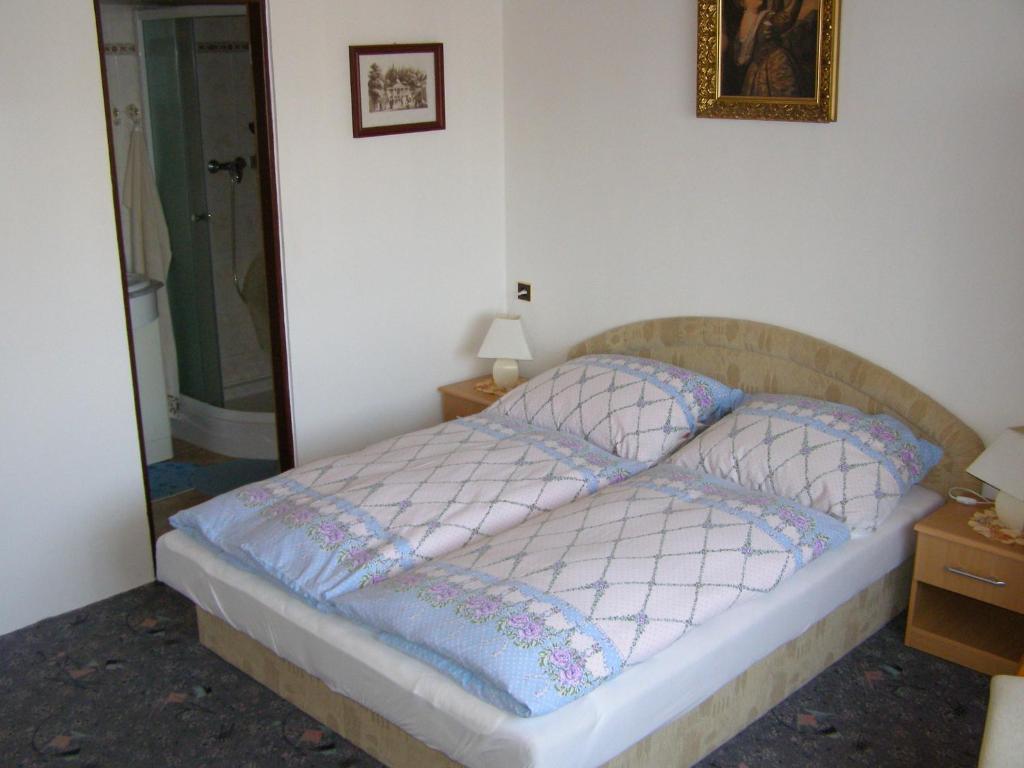 Pension Villa Hany Mariánské Lázně Værelse billede